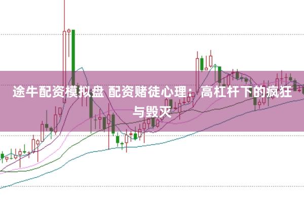 途牛配资模拟盘 配资赌徒心理：高杠杆下的疯狂与毁灭