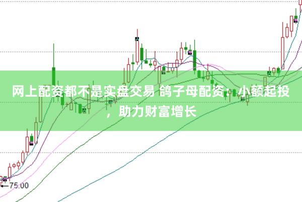 网上配资都不是实盘交易 鸽子母配资：小额起投，助力财富增长