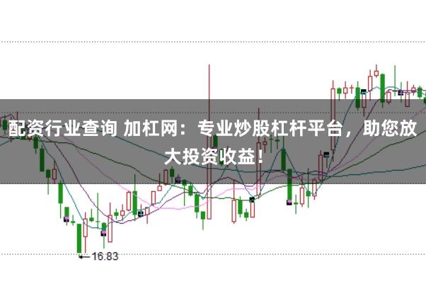 配资行业查询 加杠网：专业炒股杠杆平台，助您放大投资收益！
