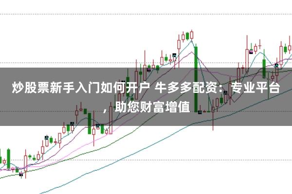 炒股票新手入门如何开户 牛多多配资：专业平台，助您财富增值