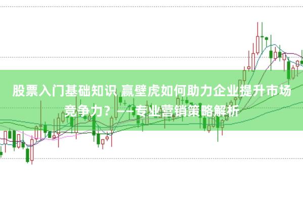 股票入门基础知识 赢壁虎如何助力企业提升市场竞争力？——专业营销策略解析