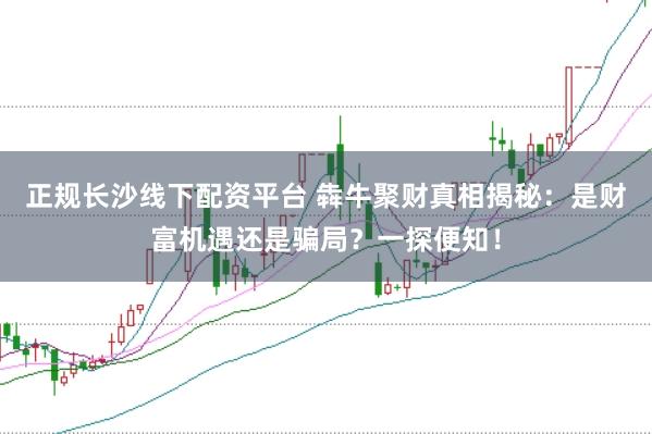 正规长沙线下配资平台 犇牛聚财真相揭秘：是财富机遇还是骗局？一探便知！