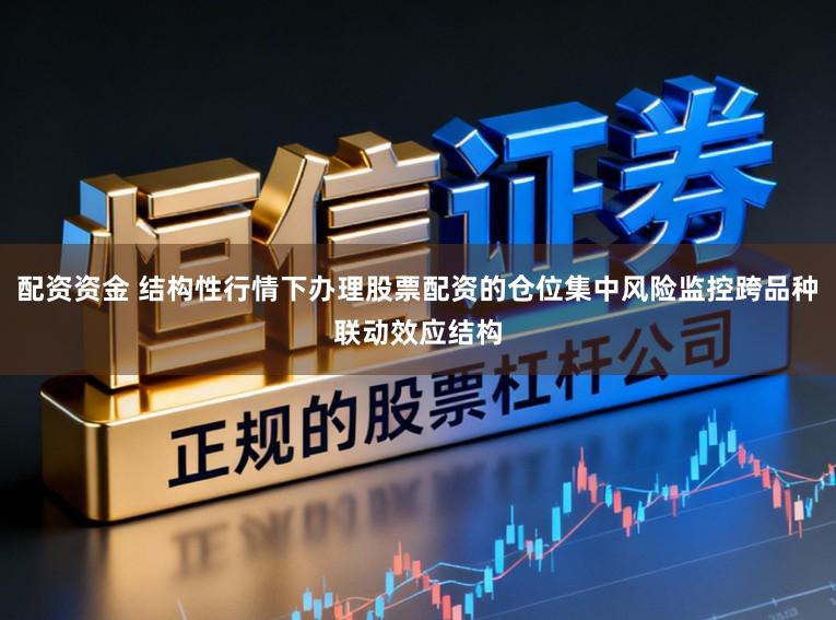 配资资金 结构性行情下办理股票配资的仓位集中风险监控跨品种联动效应结构